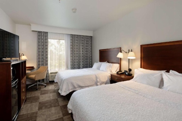 Hampton Inn & Suites Baton Rouge - I-10 East image 11
