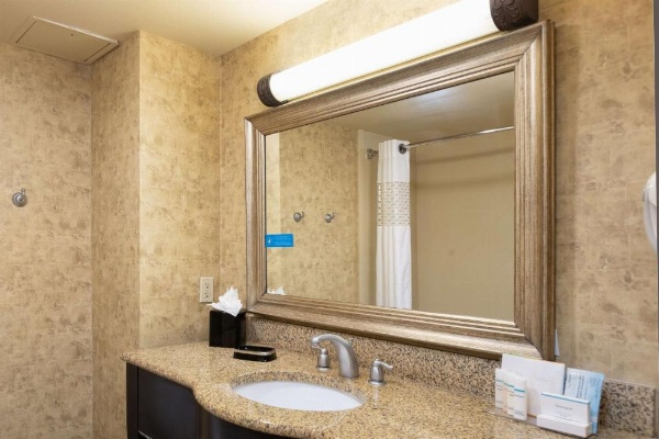 Hampton Inn & Suites Baton Rouge - I-10 East image 13