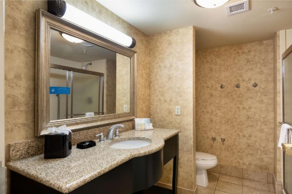 Hampton Inn & Suites Baton Rouge - I-10 East image 9